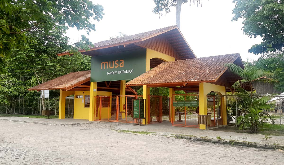 Conhecendo o Museu da Amazônia - Musa
